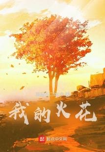 游峤的宝恒英豪