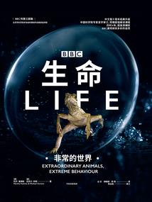 奕源