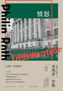 仓鼠女神的异世之旅