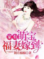 浪子小白