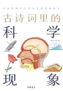 总裁甜宠小女王