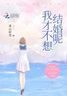 烽火皇途