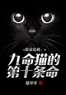 巧合与预谋