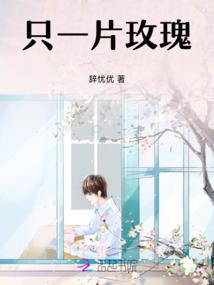 云里雾里看花落