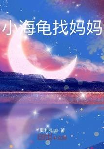 网络情缘之笨傻恋