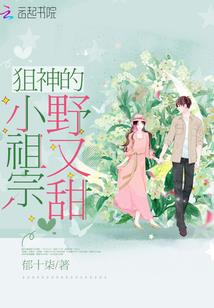 战主寰宇