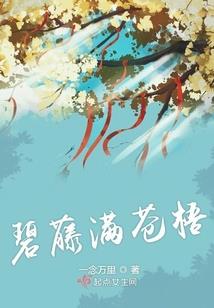 天炁大陆