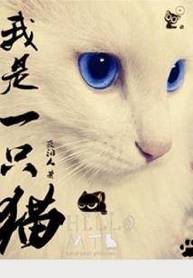 天下为家