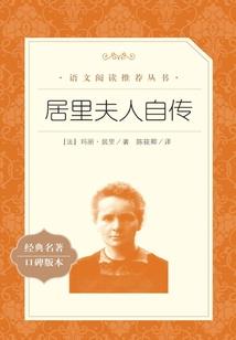 腹黑王爷的傻妃
