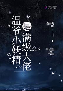 紫微侦探