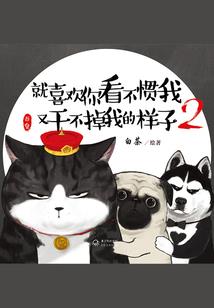 海贼王之强者如林
