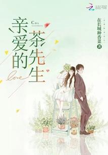 次元旅者手记