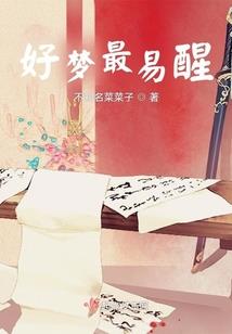 奴隶地球