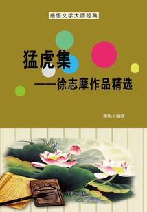 红警心灵终结之掌中世界