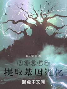 大道不负修仙人