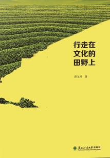 巨龙买马记