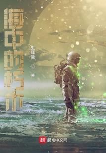 鸿君笠