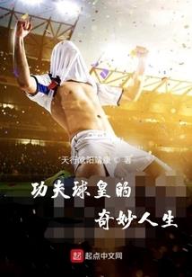 罡气大陆之丹师