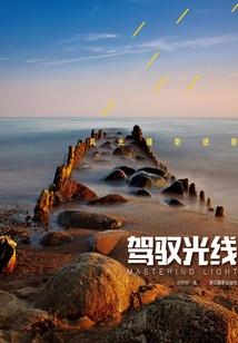 今天秦氏倒闭了吗