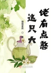 神斯大陆