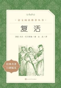 爱妃,求你再嫁一次