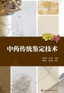 武侠之傲世纵横