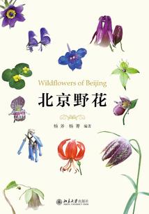 外卖修仙长生路