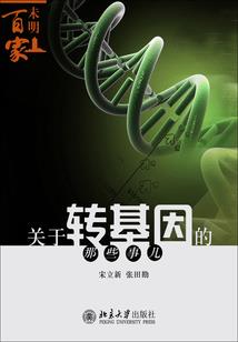 反正他们都是笨蛋