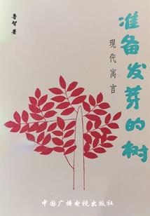 灵转乾坤cyw