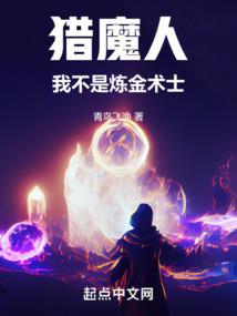 与秩序者的交手