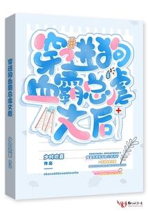 两面不一样的男子