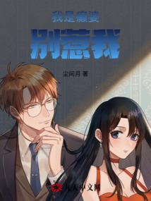 极品姑爷