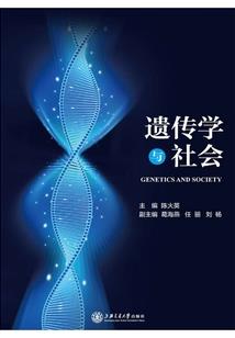 影之物语