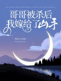神奇宝贝之烽火狼烟