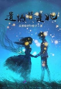 贤者之国