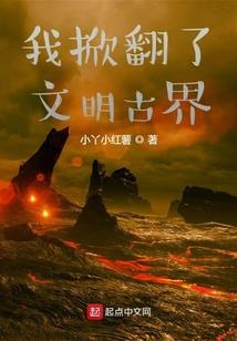 盛世帝宠之权倾天下