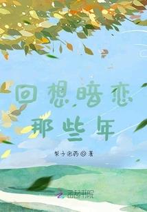 罪恶都市：白银时代
