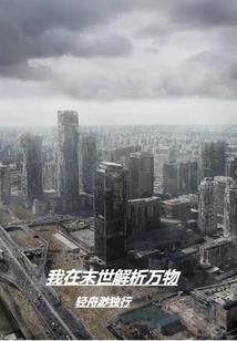 轮回天仙