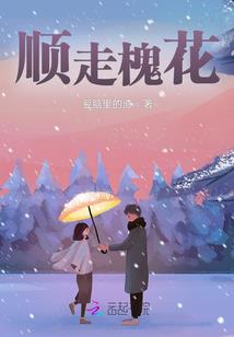 宠物小精灵之樱雪星空