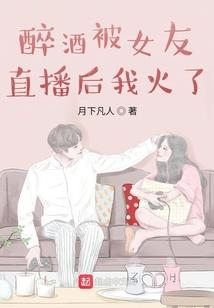武英飞星传之济世安民