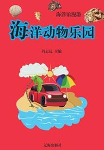 双极星之光