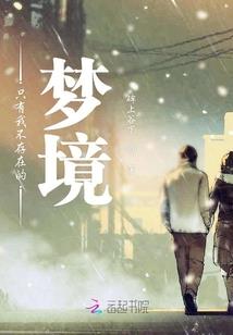 中州风华录