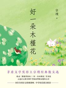 我的歌星老婆