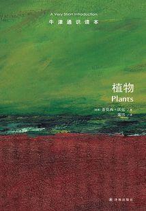 风情拽丫头