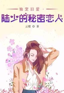 浅浅如夏