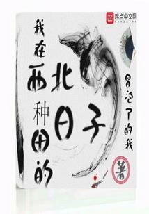 从八百兆开始