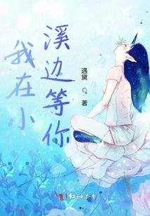 流星雨之梦