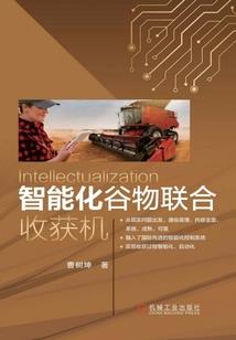 仙路之上
