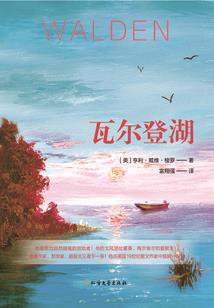 我真的不是修仙大佬