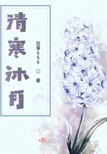 鸿道迷途